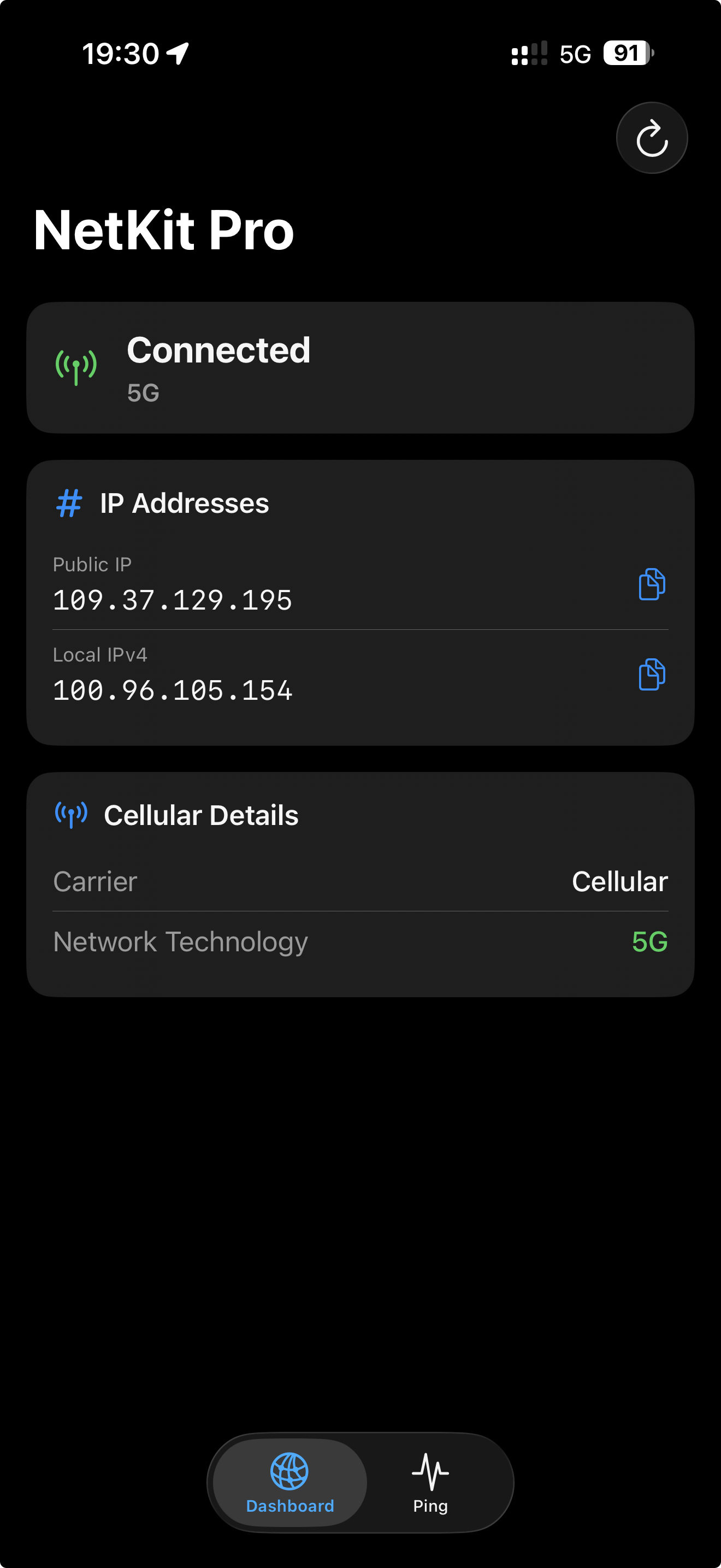 NetKit Pro dashboard showing network status and connectivity