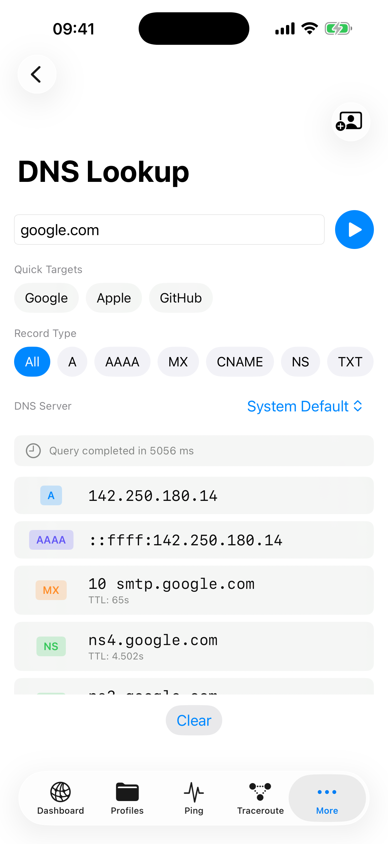 NetKit Pro DNS Lookup showing record types and query results